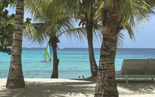 beach in Punta Cana real estate