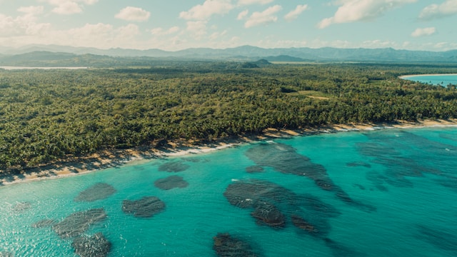Punta Cana Dominican Republic beach